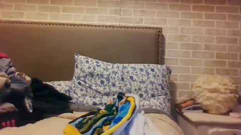 Snapshot of saretta46 chatting on 15, 12, 2024 Sara online show from 15, 12, 2024