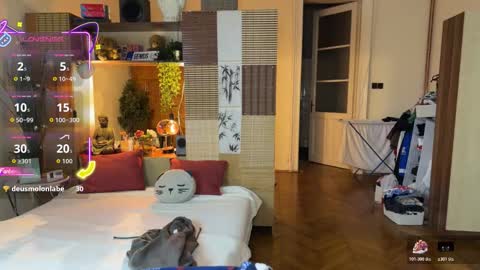 Veronika online show from 16, 11, 2025