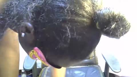 sasha_sexy769 online show from 15, 11, 2025