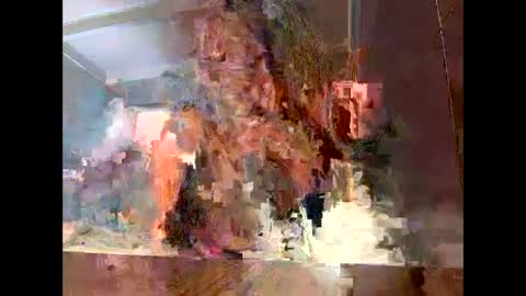 Snapshot of sassyella chatting on 9, 9, 2025 Sassyella online show from 9, 9, 2025