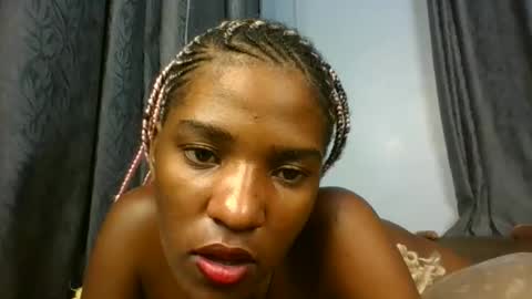 pety online show from 8, 4, 2026