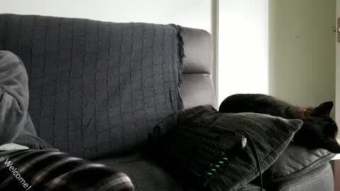 saulcontigo online show from 28, 1, 2025