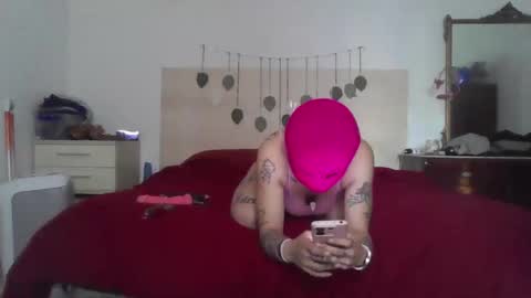 WettyWildPinkInk online show from 8, 4, 2026