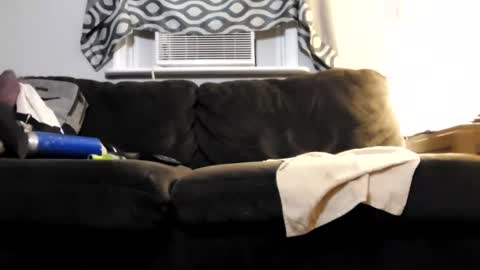 Snapshot of sayhi2mylilguy chatting on 22, 2, 2025 sayhi2mylilguy online show from 22, 2, 2025