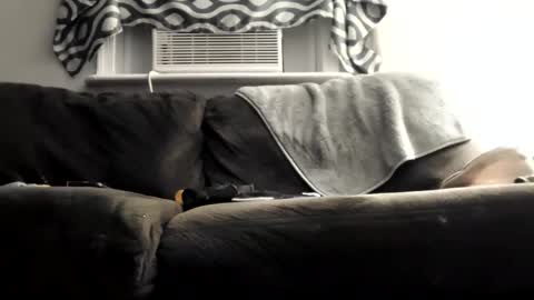 Snapshot of sayhi2mylilguy chatting on 9, 3, 2025 sayhi2mylilguy online show from 9, 3, 2025