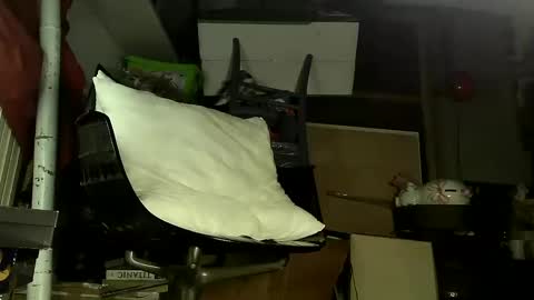 Snapshot of sbamx chatting on 17, 12, 2024 Sbamx online show from 17, 12, 2024