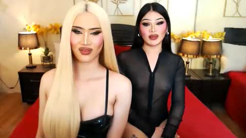 Scarlet online show from 1, 4, 2026