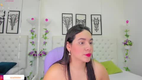 Snapshot of scarlet_stan22 chatting on 14, 12, 2024 Isa online show from 14, 12, 2024