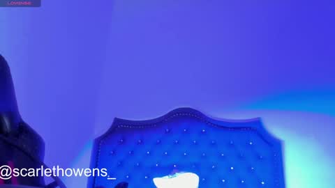 Snapshot of scarleth_owens1 chatting on 29, 12, 2024    online show from 29, 12, 2024