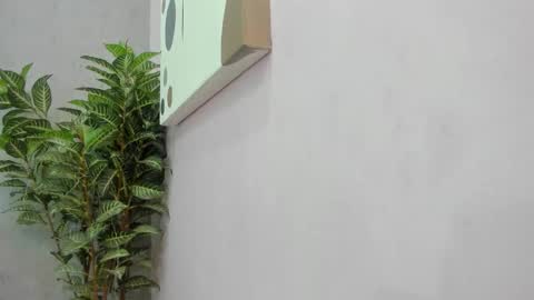 Snapshot of scarlett646 chatting on 2, 12, 2025 Scarlett 3 online show from 2, 12, 2025