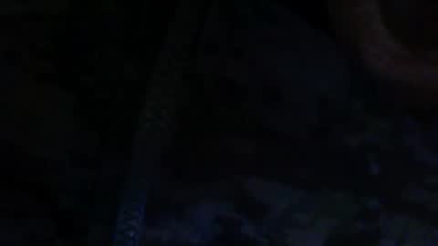 Snapshot of scott01092463171 chatting on 13, 11, 2025 Goth witch69 online show from 13, 11, 2025