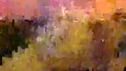 scott1usa online show from 21, 1, 2025