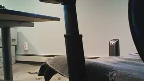 Snapshot of scottie813 chatting on 12, 12, 2024 scottie813 online show from 12, 12, 2024