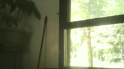 Snapshot of scottpbi52 chatting on 30, 9, 2025 scottpbi52 online show from 30, 9, 2025