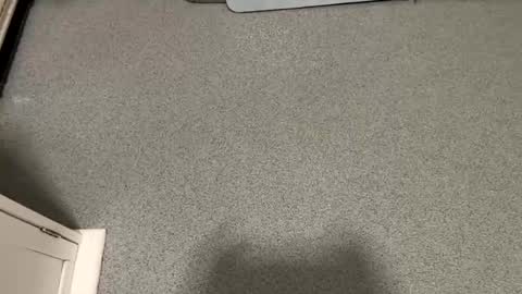 scottyc48 online show from 23, 11, 2025