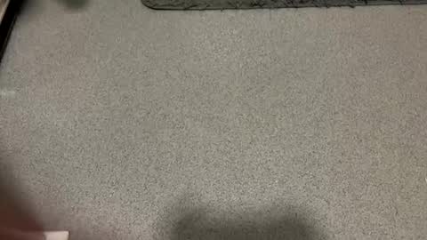 scottyc48 online show from 1, 12, 2025