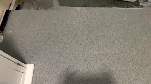 Snapshot of scottyc48 chatting on 6, 1, 2026 scottyc48 online show from 6, 1, 2026