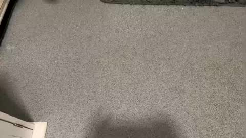 Snapshot of scottyc48 chatting on 12, 1, 2026 scottyc48 online show from 12, 1, 2026