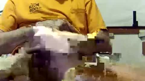 Snapshot of scoutiii chatting on 10, 3, 2025 scoutiii online show from 10, 3, 2025