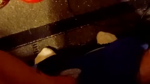 Snapshot of scruples99273286 chatting on 5, 10, 2025 scruples99273286 online show from 5, 10, 2025