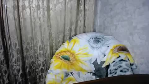 secretcandy222 online show from 1, 3, 2025