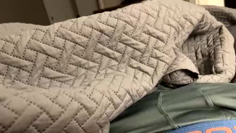 Snapshot of secretlyseductive9399 chatting on 8, 12, 2024 secretlyseductive9399 online show from 8, 12, 2024