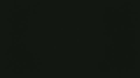 selfpound online show from 15, 12, 2025