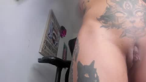 Snapshot of selina_kyl3 chatting on 6, 1, 2025 Selinna Kyle online show from 6, 1, 2025