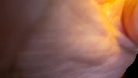 senor49509 online show from 27, 11, 2025