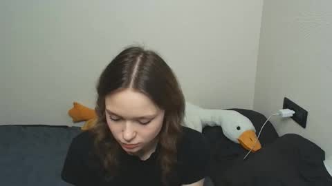 septogoo online show from 16, 10, 2025