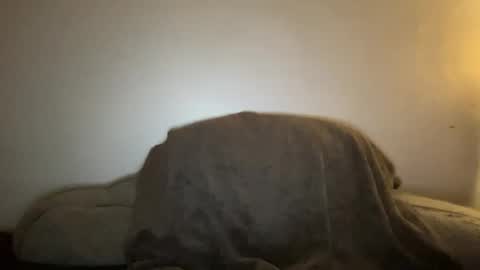 Seroc online show from 19, 1, 2025