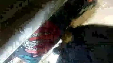 Snapshot of seus1149 chatting on 23, 7, 2026 seus1149 online show from 23, 7, 2026