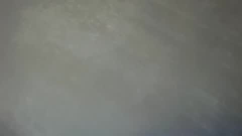 Lily online show from 12, 1, 2025