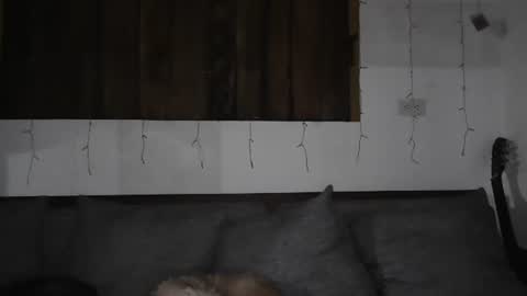 Trixy Rose online show from 11, 1, 2025