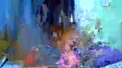 African Queen online show from 5, 6, 2026