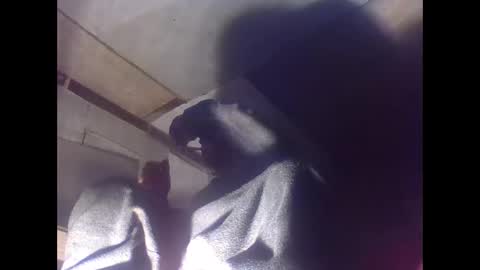 Snapshot of sexy15802 chatting on 4, 1, 2025 sexy15802 online show from 4, 1, 2025