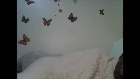 Ann online show from 22, 11, 2025