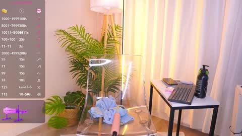 Lina online show from 16, 1, 2026