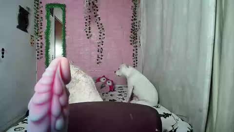 sexy lolas online show from 20, 2, 2026