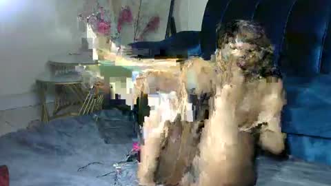 sexy pigeon online show from 20, 2, 2026