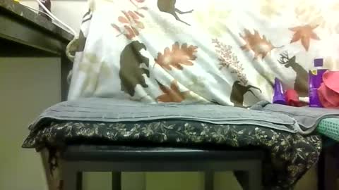 Daddy online show from 13, 2, 2026