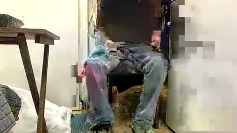 Daddy online show from 11, 4, 2026