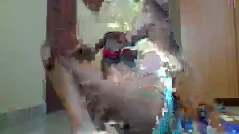 Sexybilha483 online show from 22, 2, 2025