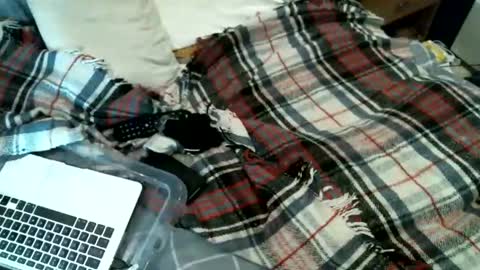 Snapshot of sexybiman74 chatting on 31, 1, 2026 sexybiman74 online show from 31, 1, 2026