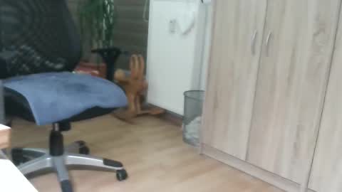 Snapshot of sexybub2 chatting on 29, 12, 2024 sexybub2 online show from 29, 12, 2024