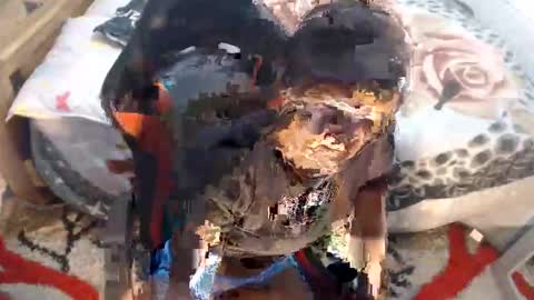 sexyjustin202 online show from 12, 11, 2025