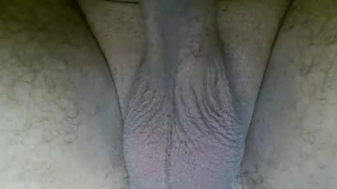 Homer009 online show from 1, 2, 2026