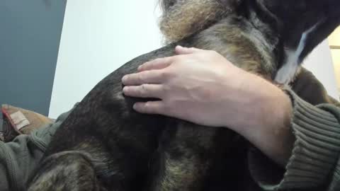 Snapshot of sexymountainman420 chatting on 19, 10, 2025 Sexymountainman420 online show from 19, 10, 2025