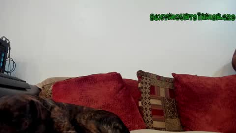 Sexymountainman420 online show from 16, 4, 2026