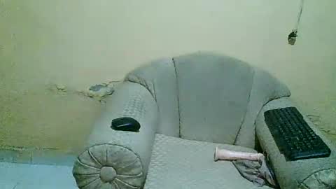 sexywolfnight online show from 12, 6, 2026